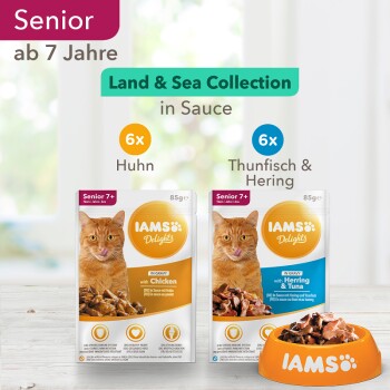 Delights Senior Land & Sea Collection 12x85g