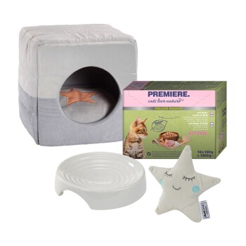 New Kitten Starter Set