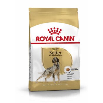 Boxer Adult 12 kg