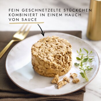 Gold Raffiniertes Ragout Katzennassfutter Sorten-Mix 96x85g