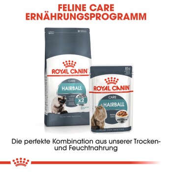 Hairball Care 2x10kg