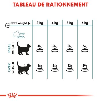 Hairball Care 2x10 kg