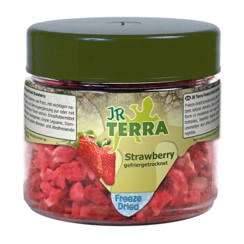 JR Terra Freeze Dried Strawberry Erdbeere 10g