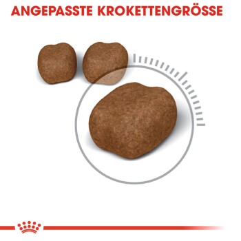 Oral Care 2x8kg