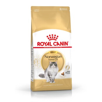 Croquettes Pour Chat Royal Canin Dans La Boutique En Ligne Maxi Zoo