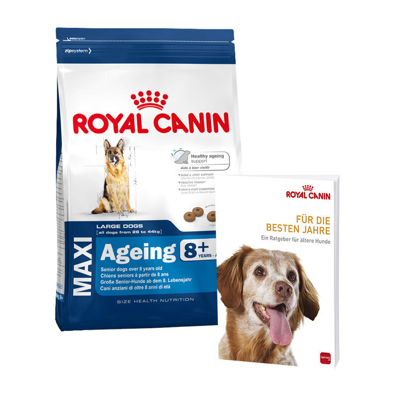 Royal Canin Maxi Ageing 8+ 15kg + gratis Ratgeber für ältere Hunde