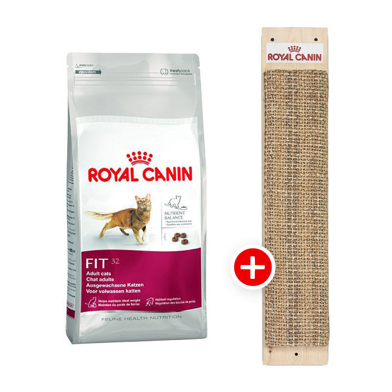 Royal Canin Fit 32 10kg + Kratzbrett gratis