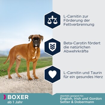 Breed Specific Boxer 12kg