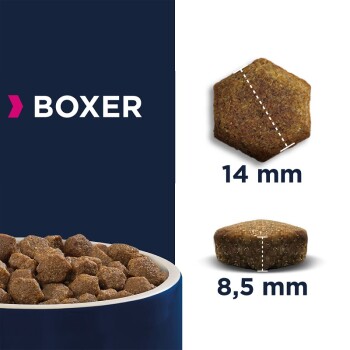 Breed Specific Boxer 12kg