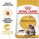 Maine Coon Adult 400g