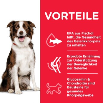 Canine Adult Healthy Mobility Medium Breed 2x14kg