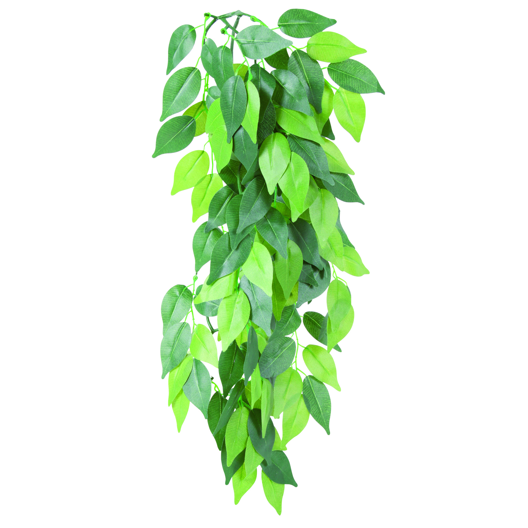 Trixie Reptiland Seiden-Hängepflanze Ficus 20 × 50 cm