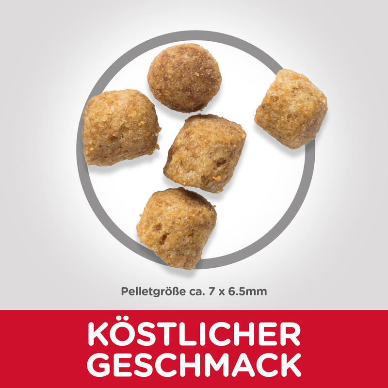 hills science plan light cat