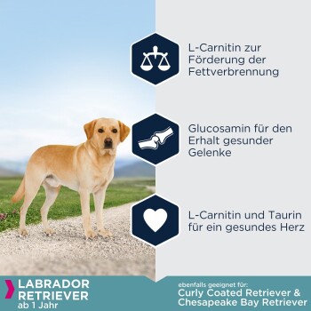 Breed Specific Labrador Retriever 2 x 12kg