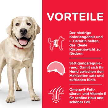 Canine Adult Light Large Breed 14kg