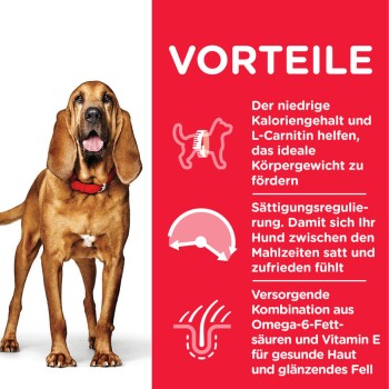 Canine Mature Adult 7+ Senior Light 14kg