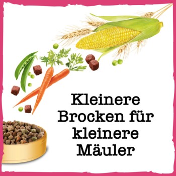 Kleine Genießer 2,8kg