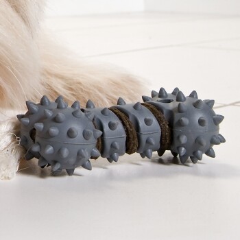 Hunter Hundespielzeug Zahnpflege-Set