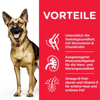 Canine Active Longevity Mature Adult 6+ Senior Large Breed 2x14kg