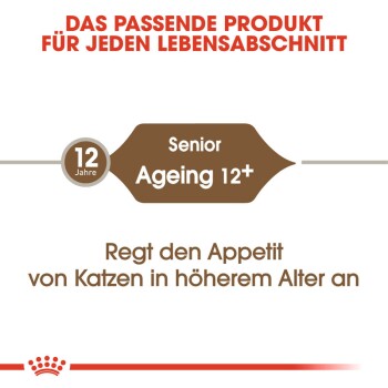 Ageing 12+ 400g