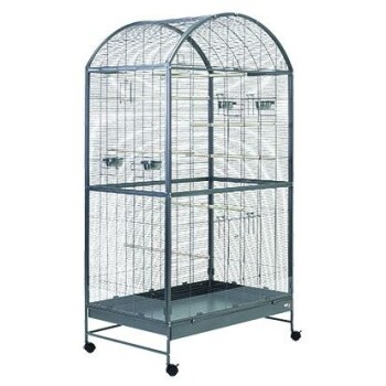 Voliere Darwin