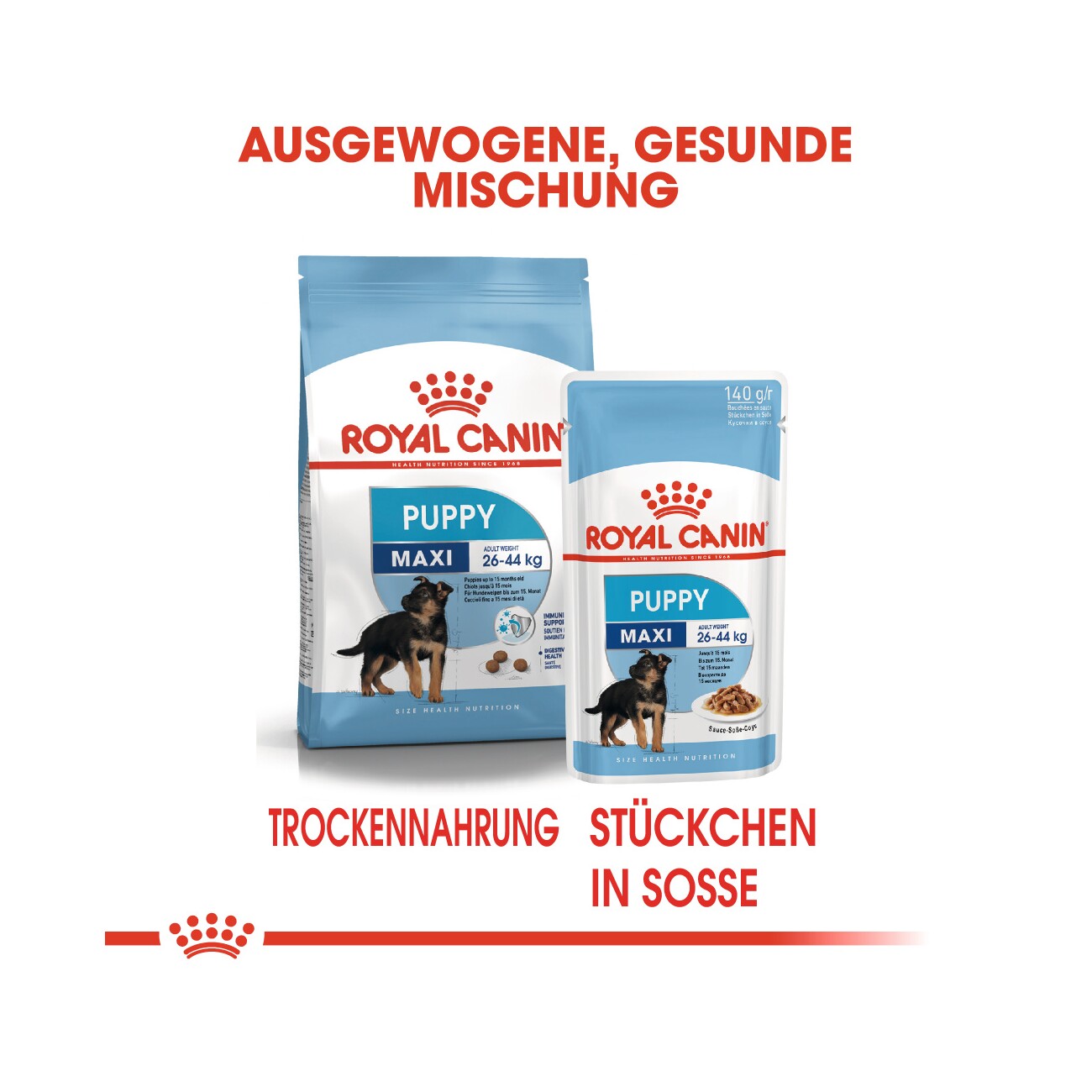Royal Canin Maxi 2x15kg | FRESSNAPF