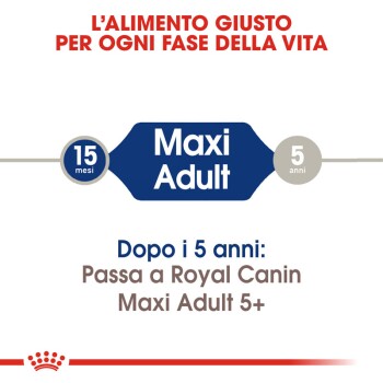 Maxi Adult 2x15 kg