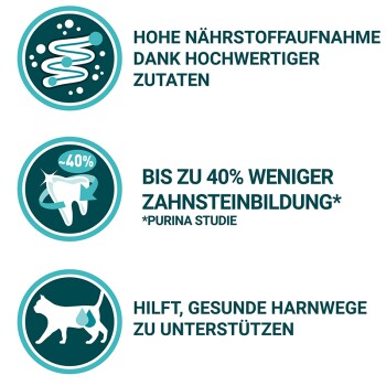 Adult Reich an Lachs & Vollkorn-Getreide 3kg