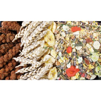 Jr Farm Food Hamster Adult 2x500g Fressnapf Jr Farm Food Hamster Adult 2x500g Fressnapf