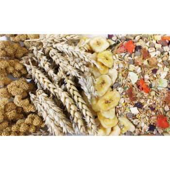 Food dla myszy Adult 500 g