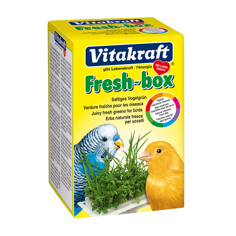 Vitakraft Fresh-box Vogelgrün für Sittiche und Kanarien