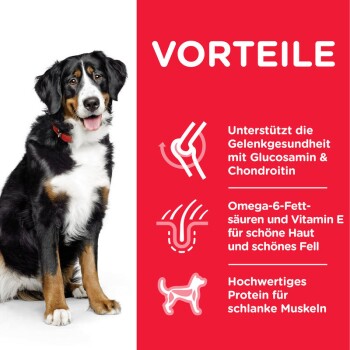 Canine Adult Large Breed kip 14 kg