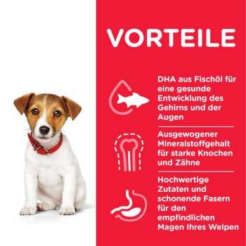 Science Plan Small & Miniature Puppy, Huhn 1,5kg