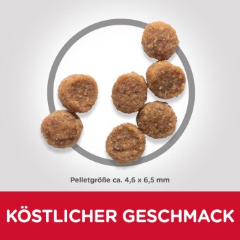 Science Plan Small & Miniature Puppy, Huhn 1,5kg
