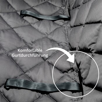 Pointer Autoschondecke Rückbank 3-Sitz M