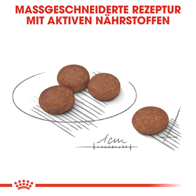 royal canin digestive comfort