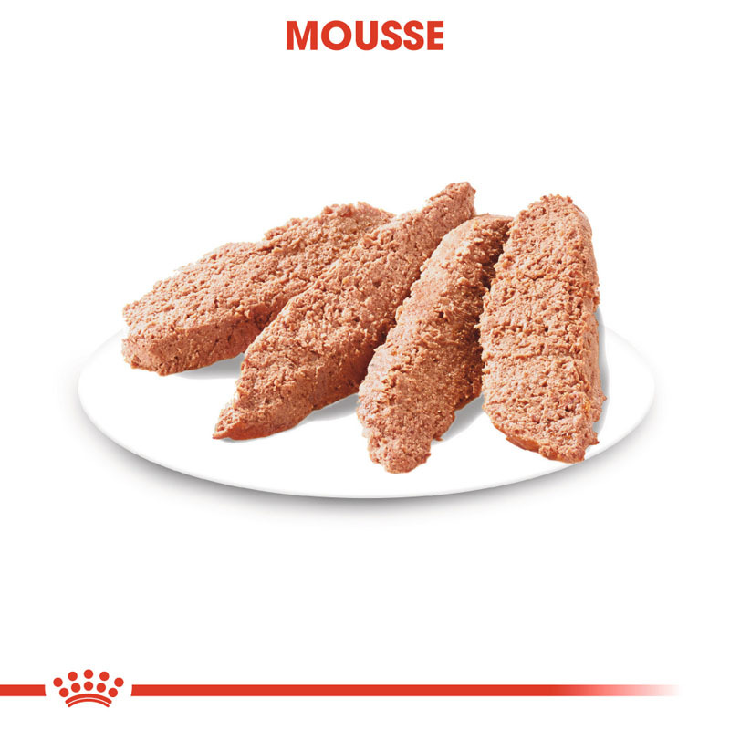 royal canin digestive comfort