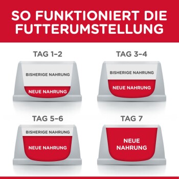 Feline Science Plan Mature Adult 7+ Thunfisch 2x10kg