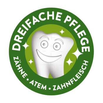 Zahnpflegesnacks Zahnbürste Medium - 12 Stück