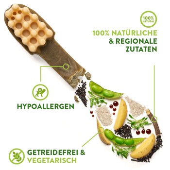 Zahnpflegesnacks Zahnbürste Medium - 12 Stück