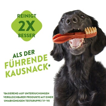 Zahnpflegesnacks Zahnbürste Medium - 12 Stück