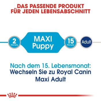 Maxi Puppy 10x140g