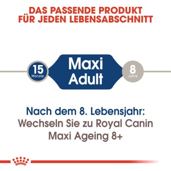 Maxi Adult 10x140g