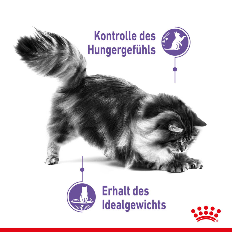 royal canin appetite control