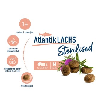 Sterilised Adult Atlantik Lachs 10 kg